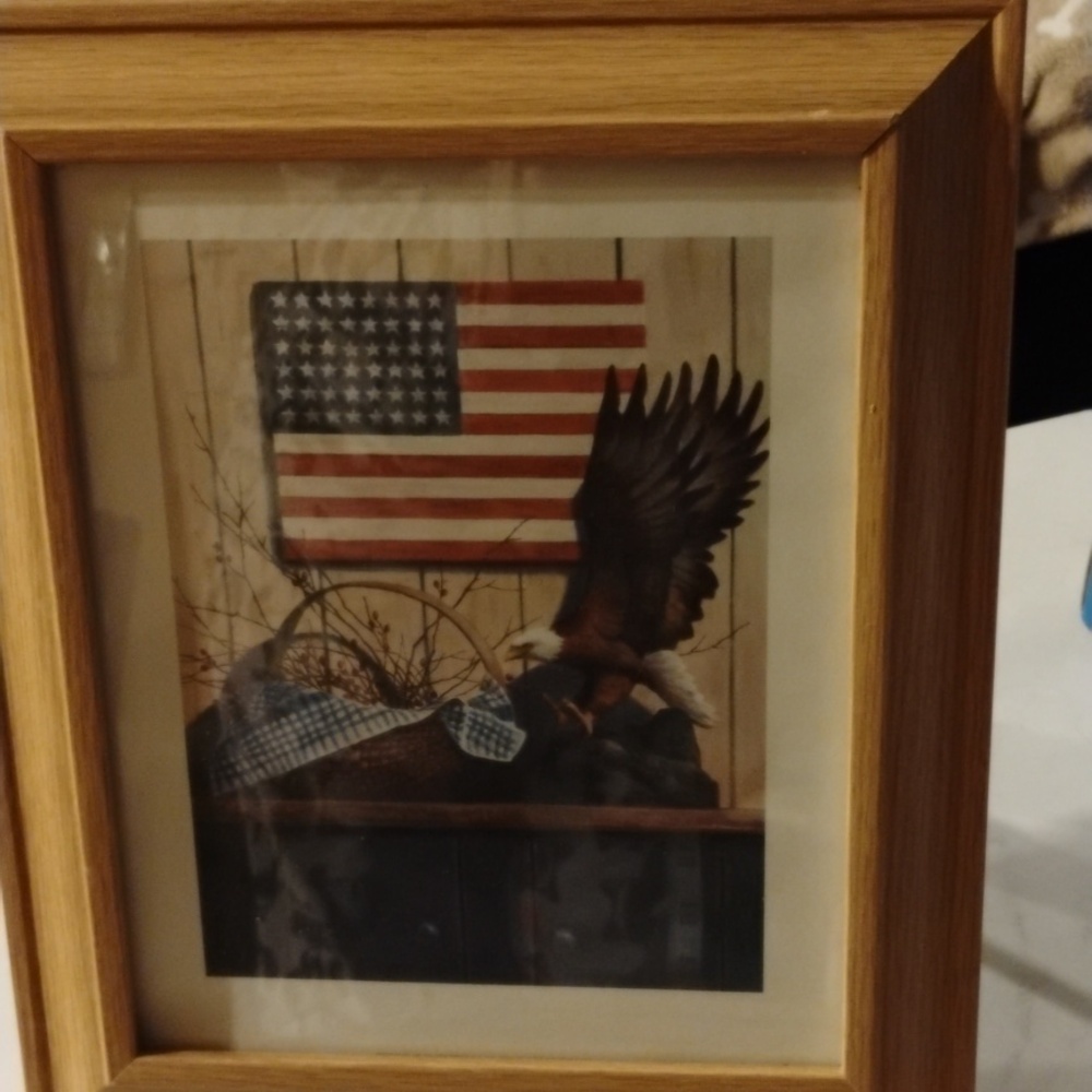 Patriotic Bald Eagle Framed Wall Art - Brown Frame